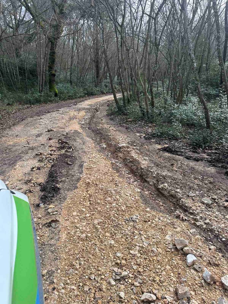 (Foto: Natura Histrica)