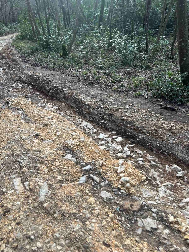 (Foto: Natura Histrica)