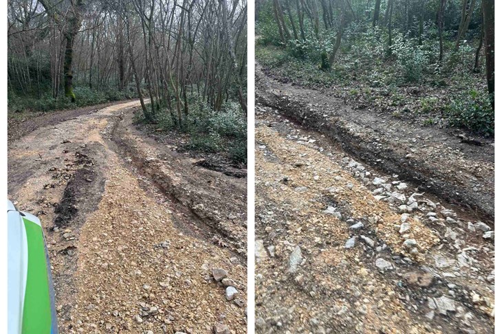 (Foto: Natura Histrica)