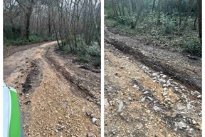 (Foto: Natura Histrica)