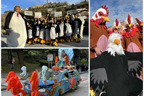 (Snimila Gordana Čalić Šverko)