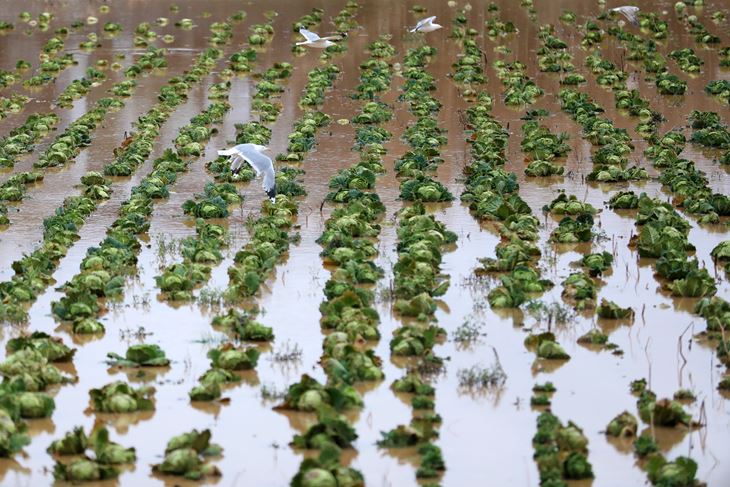 (Snimio Sasa Miljevic / Pixsell)