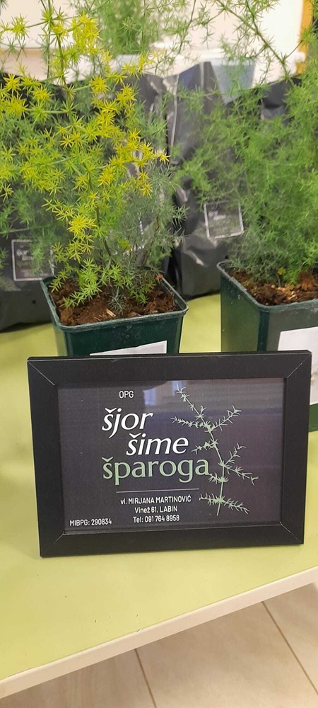 (Snimila Mirjana Martinović)