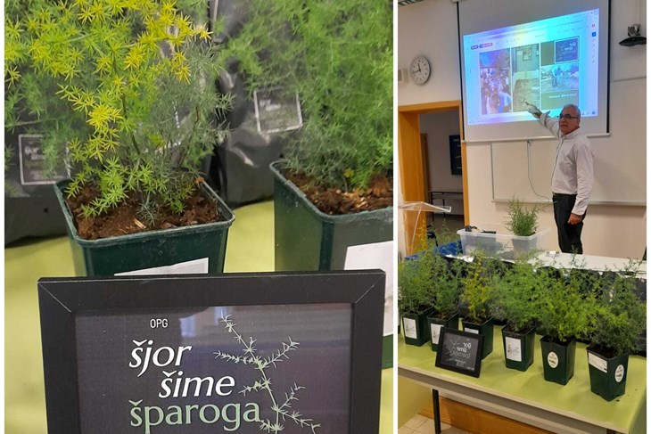 (Snimila Mirjana Martinović)