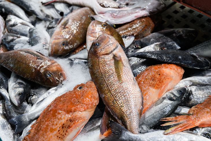 (Snimio Luka Jeličić/Pixsell)