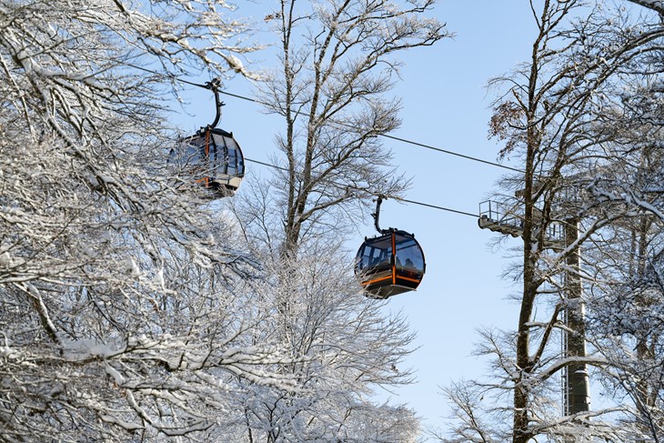 (Snimio Davor Puklavec / Pixsell)