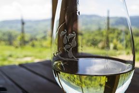 Ilustracija (Pixabay)