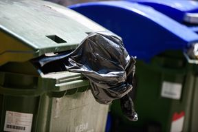 Ilustracija (Snimio Luka Jeličić)