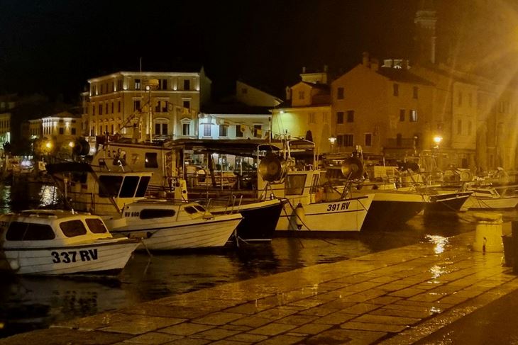 (Snimio Milivoj Mijošek)