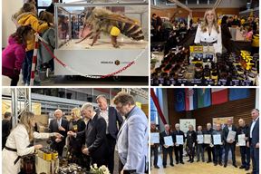 (Snimila Gordana Čalić Šverko)