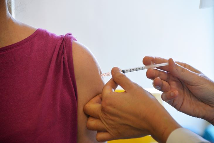 Ilustracija (Snimio Saša Miljević / Pixsell)