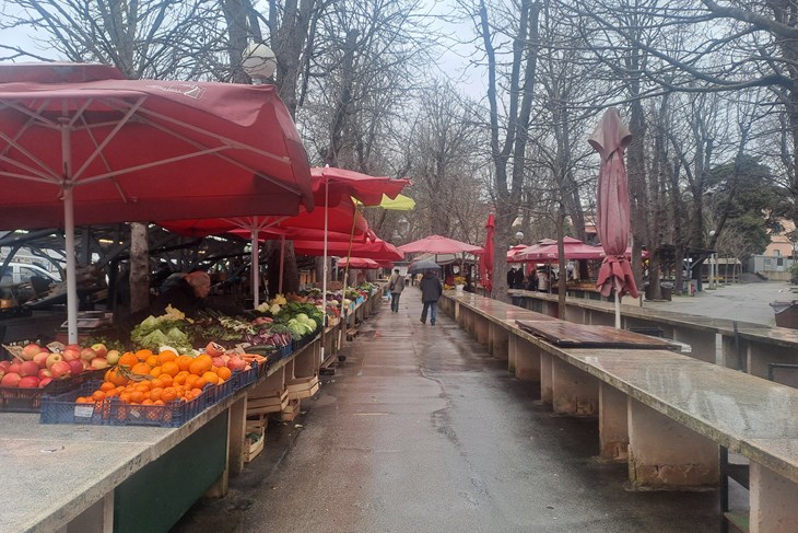 (Snimila Jelena Milović)