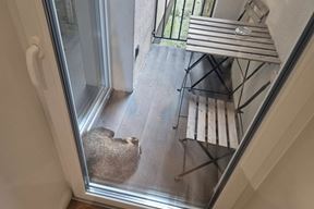 (Sklonište za nezbrinute životinje Grada Zagreba - Dumovec)