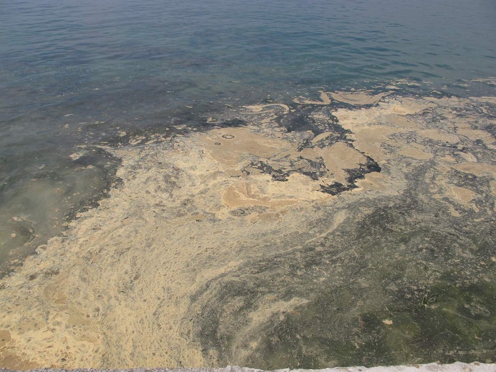 (Arhiva Glasa Istre)