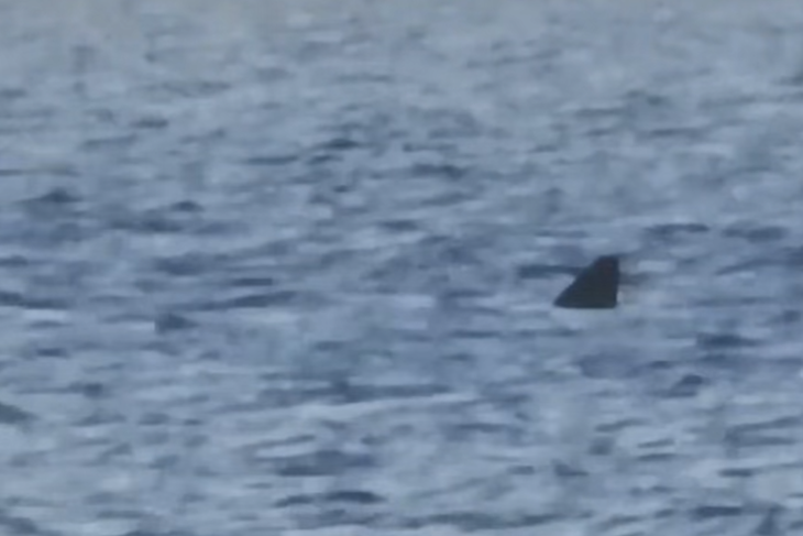 (Foto: Screenshot / Facebook)