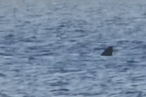 (Foto: Screenshot / Facebook)