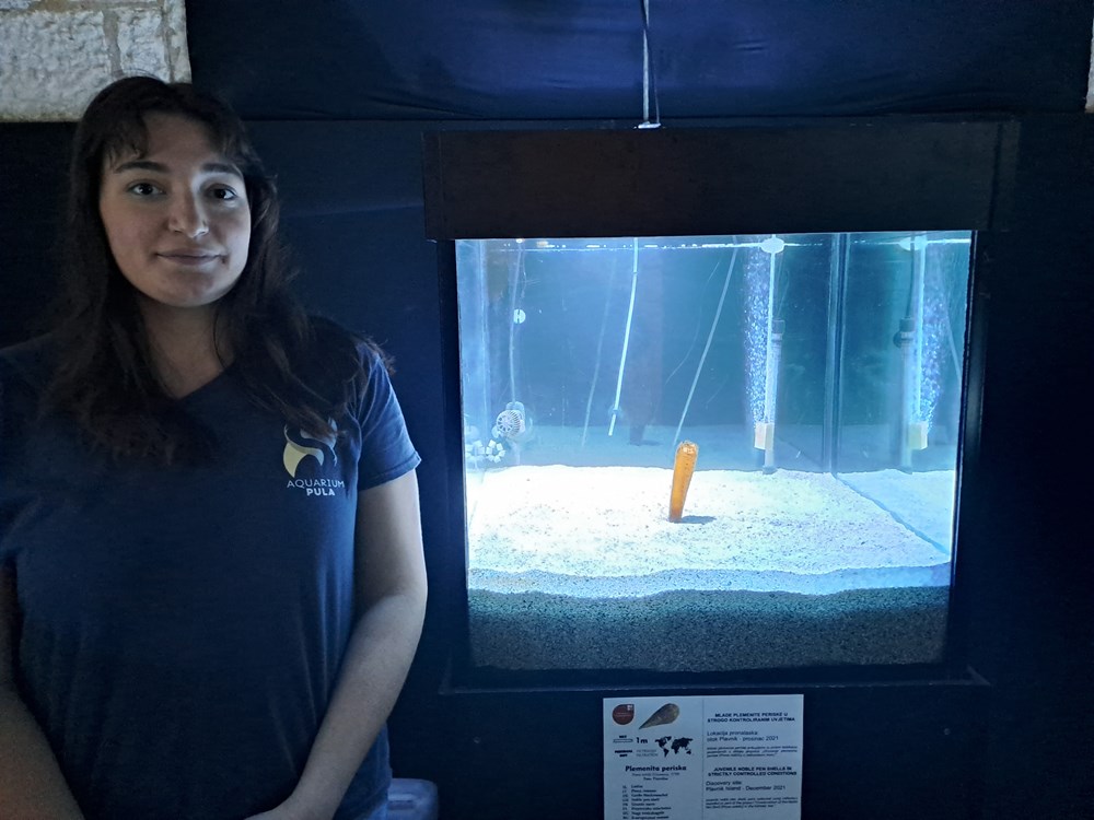 (Snimio Zoran Oljača)