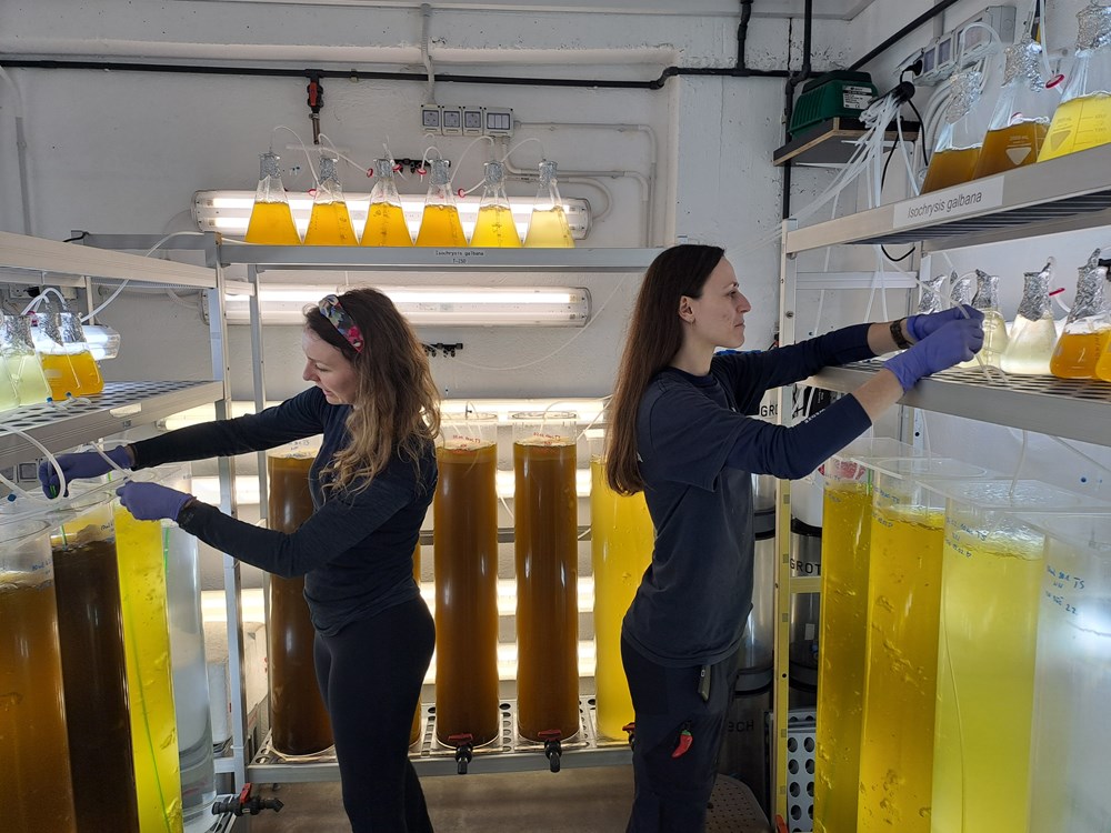 (Snimio Zoran Oljača)