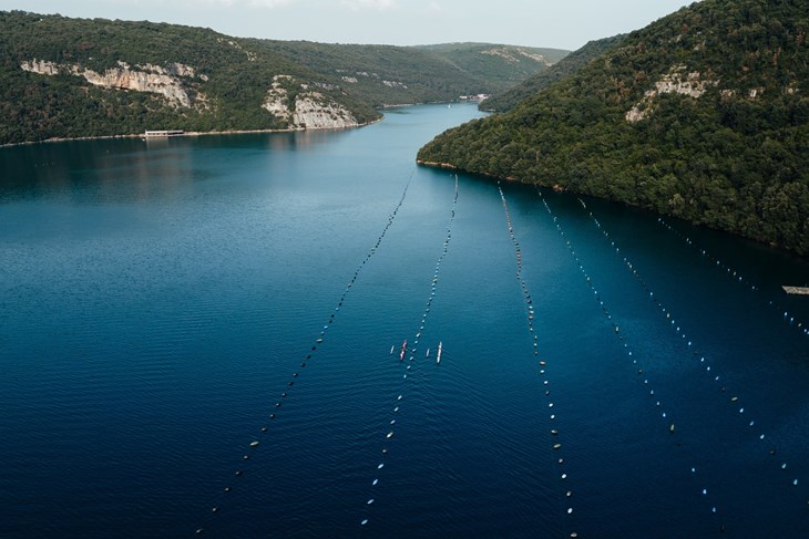 Ilustracija (Snimila Luce Divina)