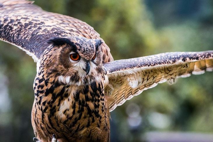 (Foto EU PROJEKT LIKE)