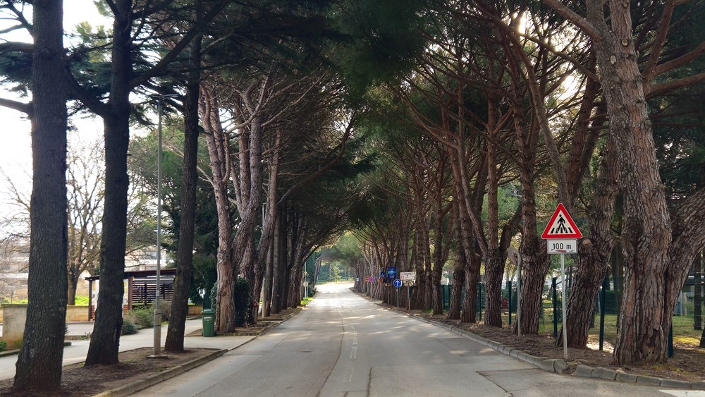 (Foto Općina Medulin)