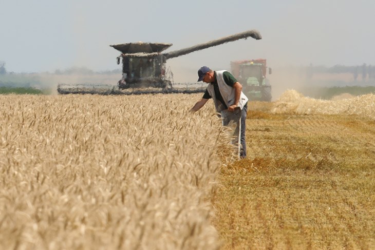 Ilustracija (Snimila Dubravka Petrić / Pixsell)