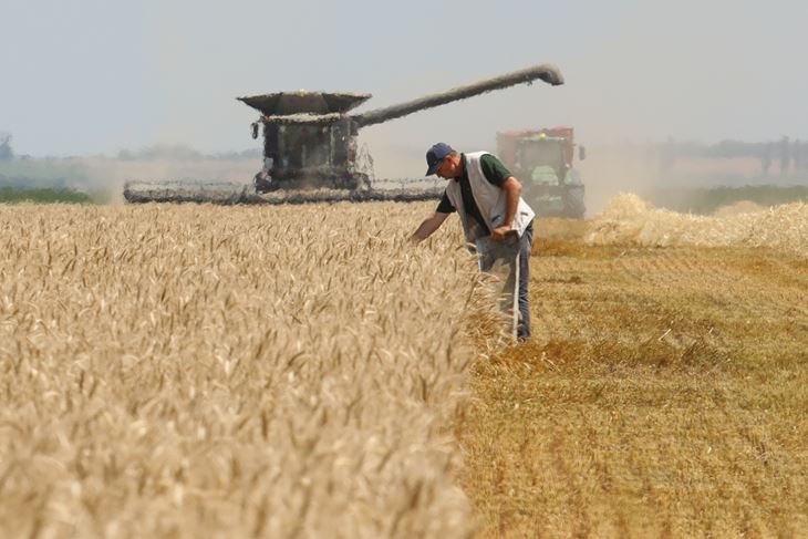 Ilustracija (Snimila Dubravka Petrić / Pixsell)