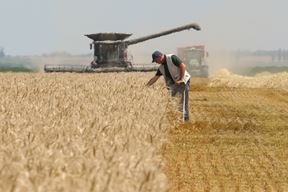 Ilustracija (Snimila Dubravka Petrić / Pixsell)