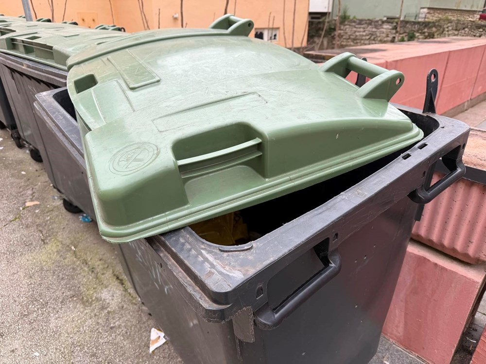 Ilustracija (Snimio Nikola Pu&scaron;onjić)