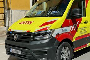 Ilustracija (Snimio Nikola Pušonjić)