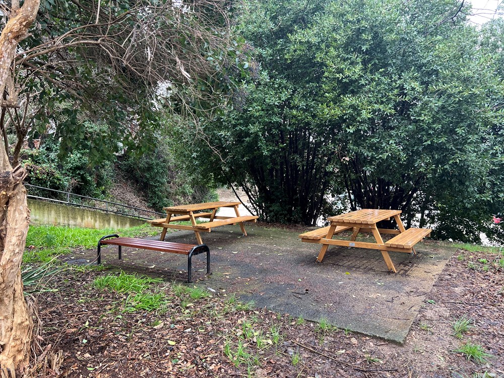 (Snimila Doria Mohorović)