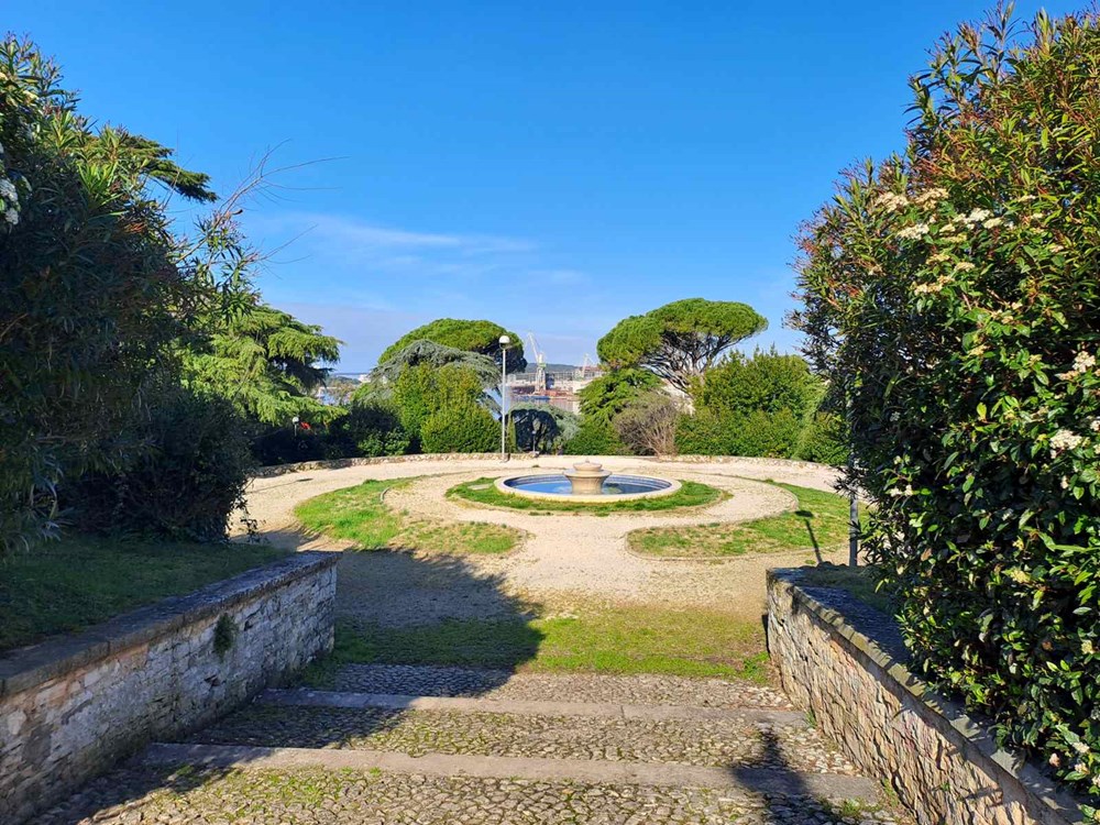 (Snimio Zoran Oljača)