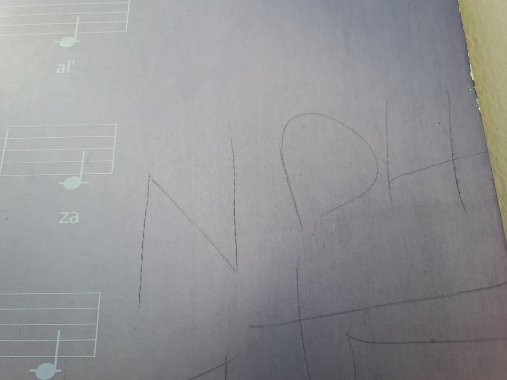 (Snimio Zoran Oljača)