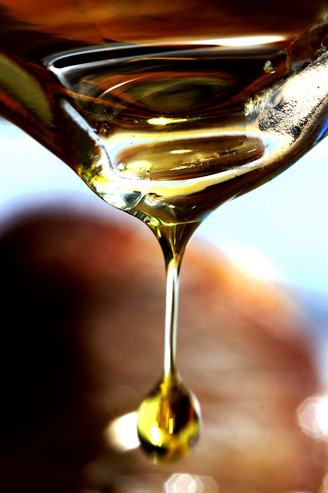 (Snimio Milivoj Mijo&scaron;ek)