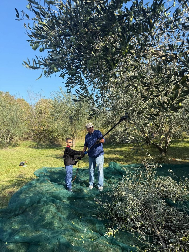 (Snimio Zoran Oljača)