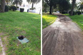 (Snimila čitateljica Glasa Istre)