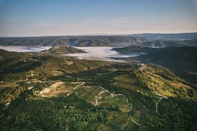 (Neven Jurjak / Santa Elisabetta / Vinistra)