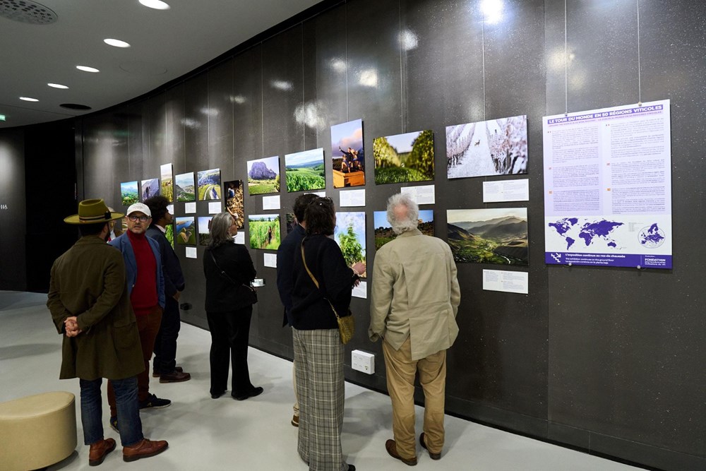 (Foto: Mathieu Anglada)