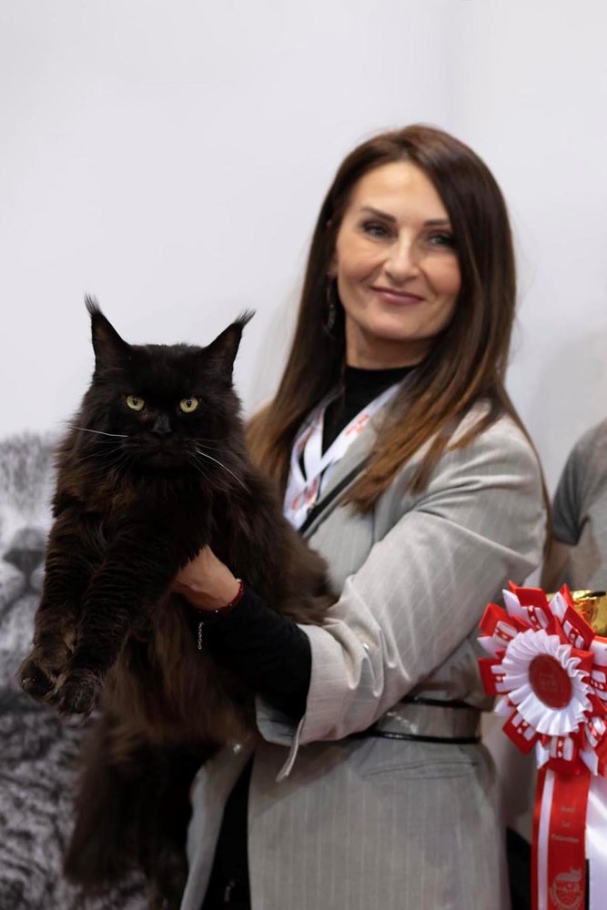 (Pet Almighty photography by Gordana Popović)