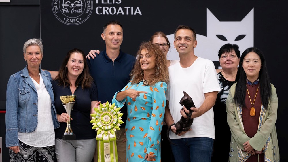 (Pet Almighty photography by Gordana Popović)