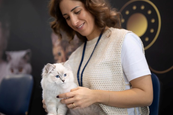 (Pet Almighty photography by Gordana Popović)