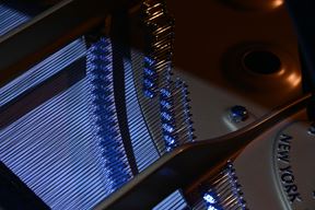 Ilustracija (Arhiva Glasa Istre)