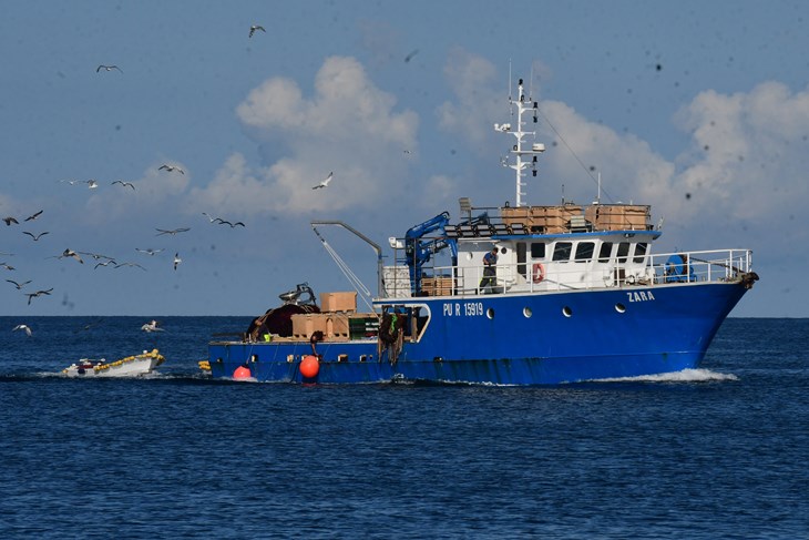 Ilustracija (Snimio Milivoj Mijošek)