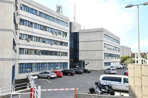 Ilustracija (Snimio Milivoj Mijošek)