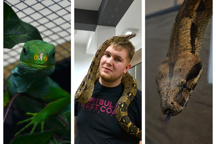 (Snimila Annamaria Vidović)