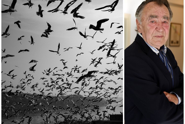 (Pexels/Arhiva Glasa istre)