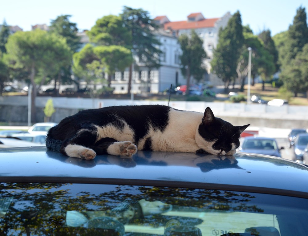 (Arhiva Glasa Istre)