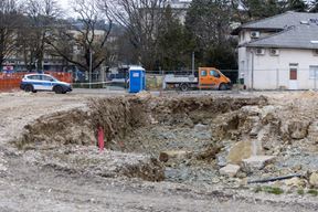 (Snimio Srecko Niketic / Pixsell)