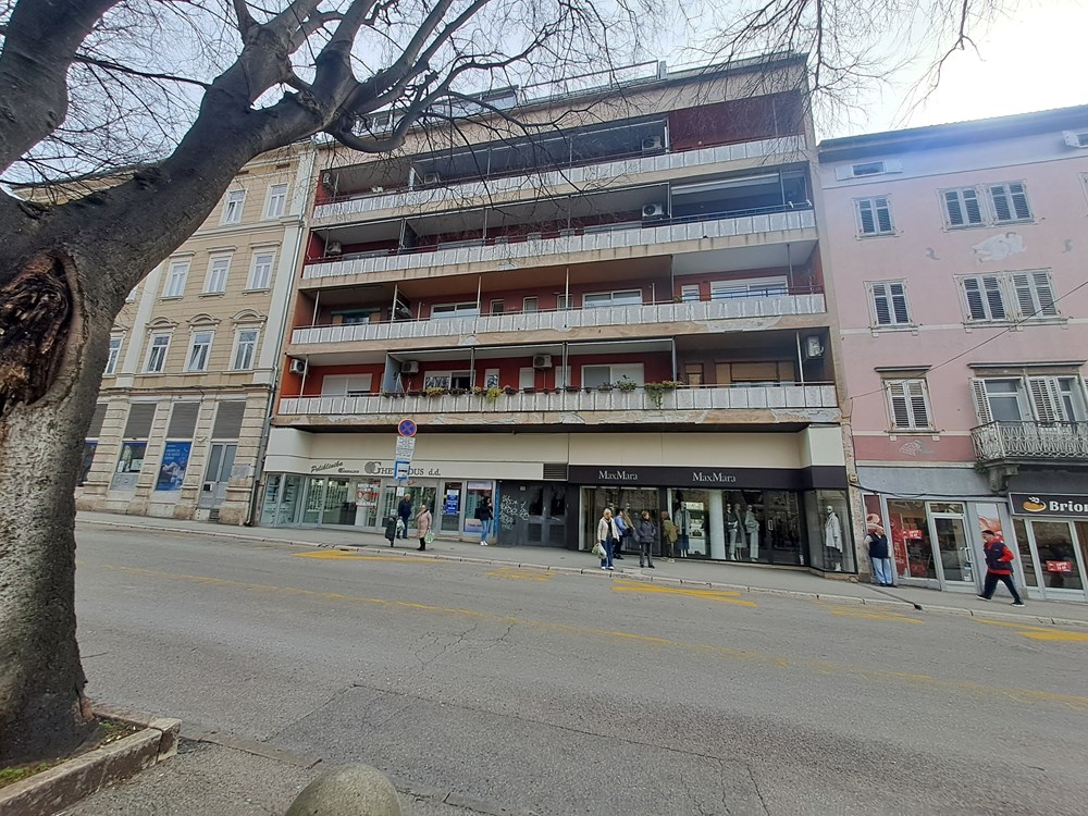 (Snimila Jelena Milović)