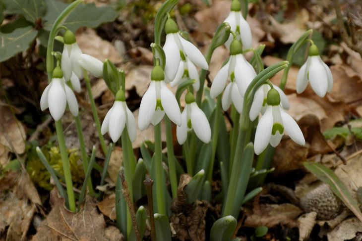 (Snimila Gordana Čalić Šverko)